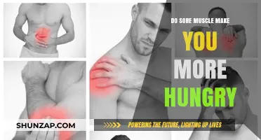 Sore Muscles and Appetite: Does Post-Workout Hunger Increase?
