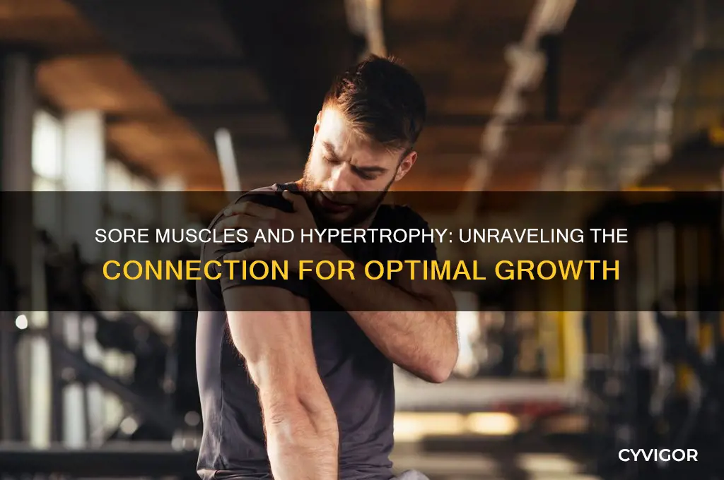 do sore muscles always mean hypotrophy