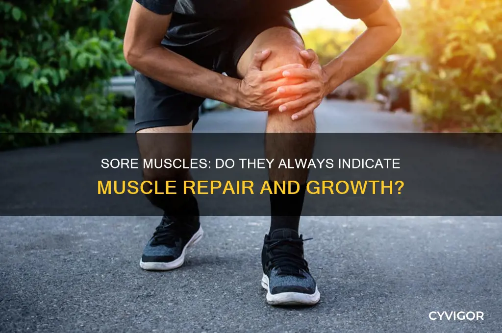 do sore muscles always mean repairing