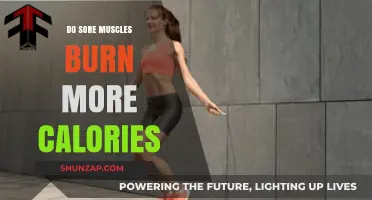Sore Muscles and Calorie Burn: Fact or Fitness Myth?