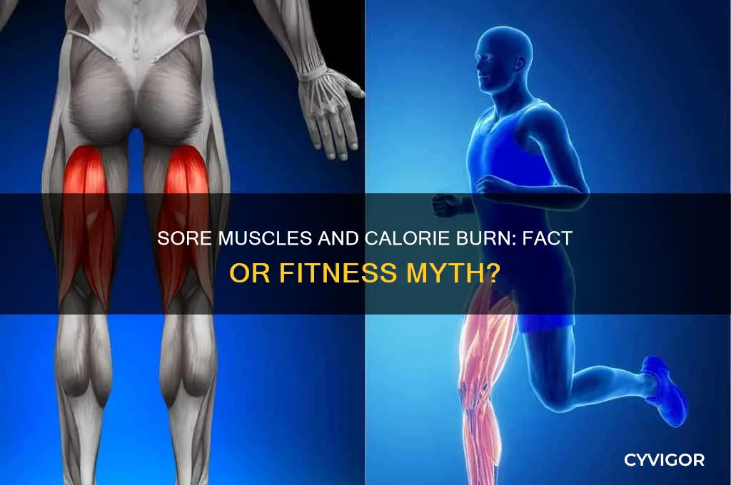 do sore muscles burn more calories