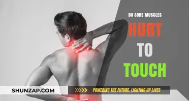 Why Sore Muscles Hurt to Touch: Understanding Post-Workout Sensitivity