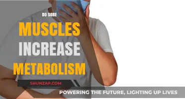 Sore Muscles and Metabolism: Unraveling the Post-Workout Burn Effect