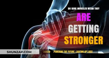 Understanding Muscle Soreness: A Sign of Strength or Strain?