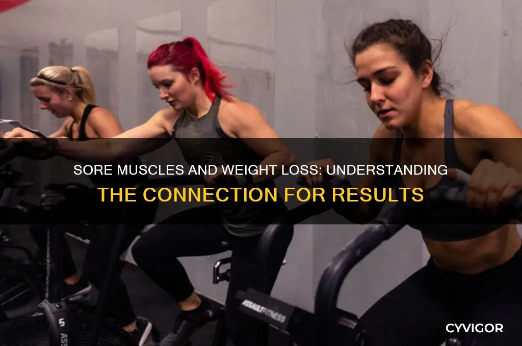 do sore muscles mean weight loss