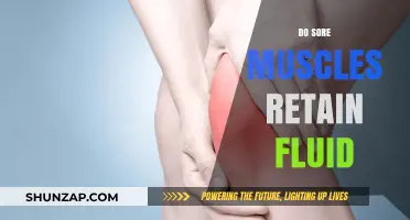 Do Sore Muscles Retain Fluid? Understanding Post-Workout Swelling and Recovery