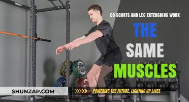 Squats vs. Leg Extensions: Which Muscles Do They Target?