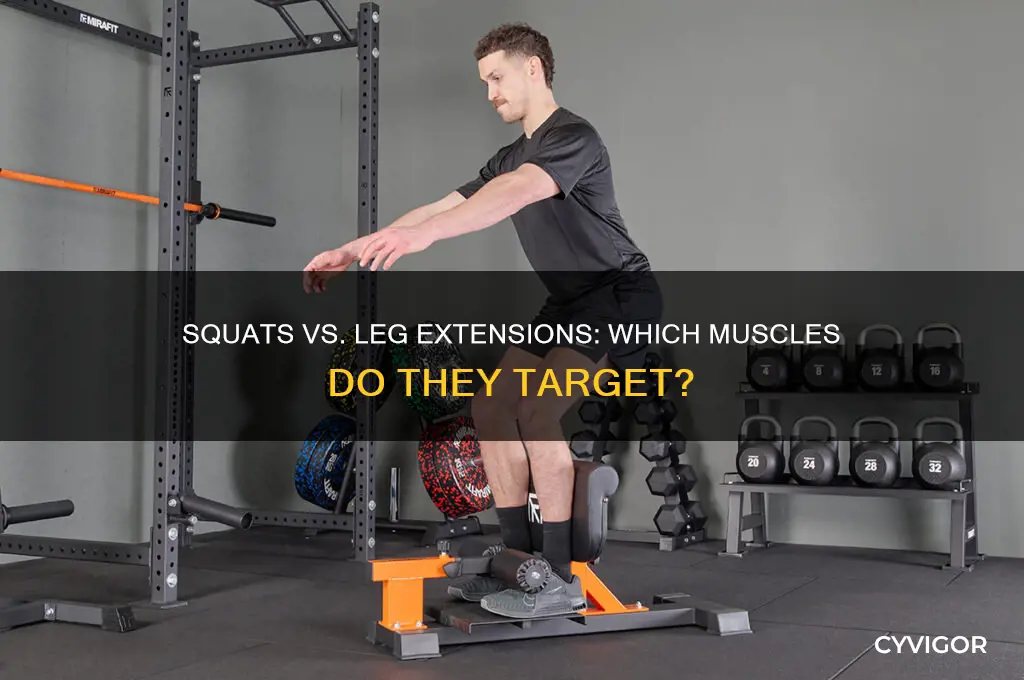 do squats and leg extensions work the same muscles