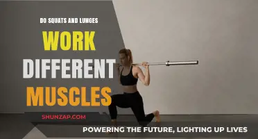 Squats vs. Lunges: Unlocking the Unique Muscle Benefits of Each