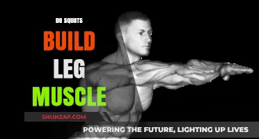 Squat Your Way to Stronger Legs: The Ultimate Guide