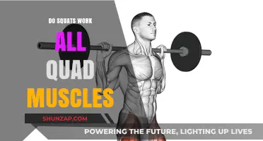 Squats and Quads: Targeting All Four Quadriceps Muscles Effectively