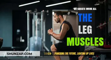 Squats: The Ultimate Leg Workout or Partial Muscle Builder?