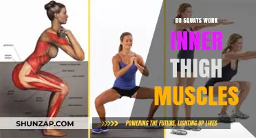 Squats and Inner Thighs: Targeting Muscles for Toned Legs