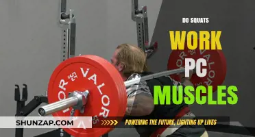 Squats and PC Muscles: Strengthening Pelvic Floor Benefits Explained