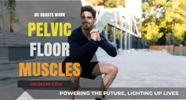 Squats and Pelvic Floor: Strengthening Benefits and Proper Techniques