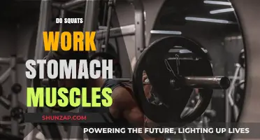 Squats and Stomach Muscles: Unveiling the Core Connection
