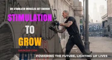 Unlocking Growth: Do Stabilizer Muscles Get Enough Stimulation?