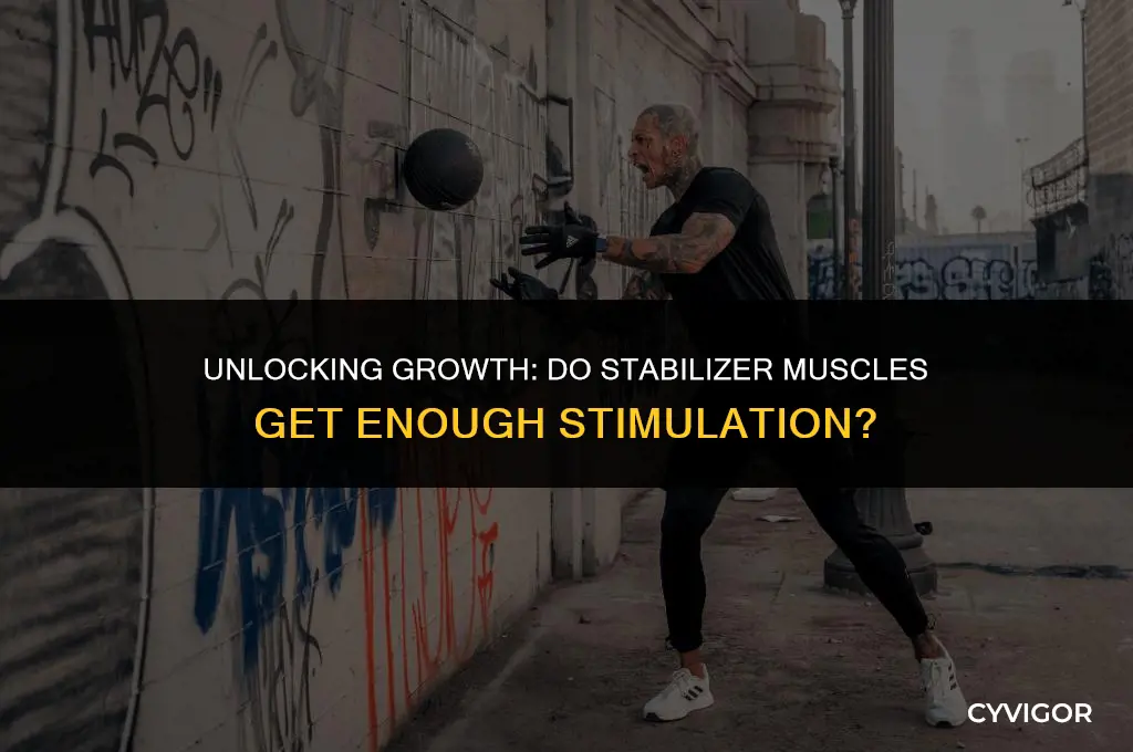 do stabilizer muscles get enough stimulation to grow