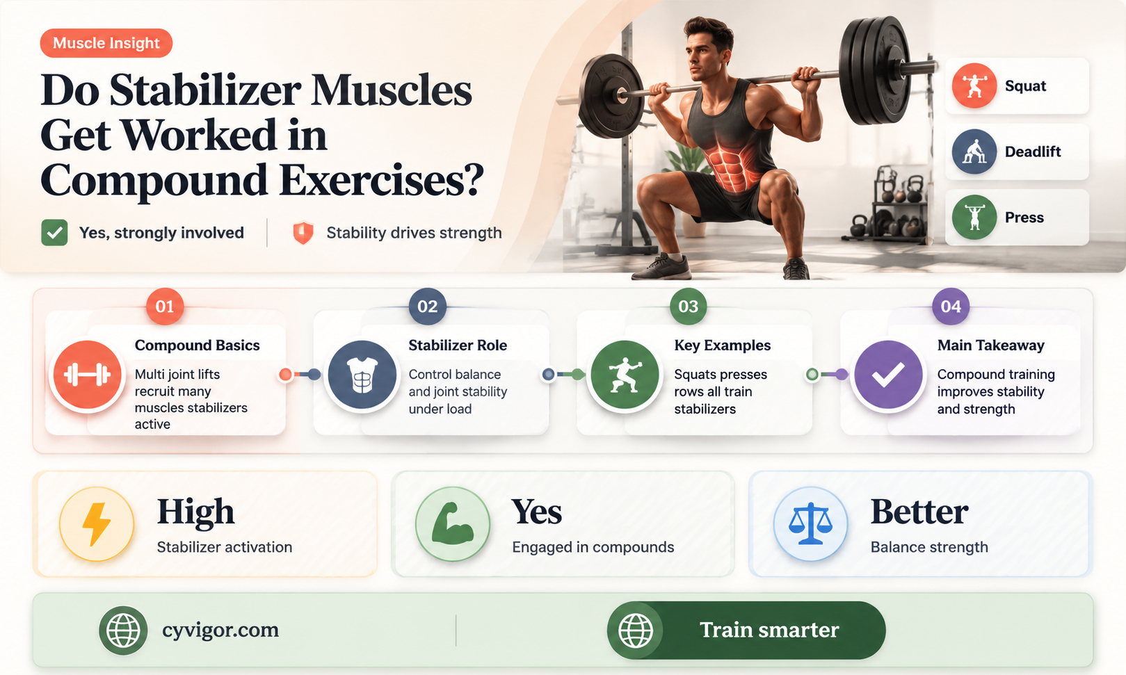 are stablizer muscles worked