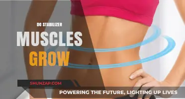 Do Stabilizer Muscles Grow? Unlocking Core Strength and Function