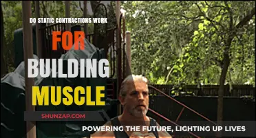 Unleashing Muscle Growth: The Power of Static Contractions Revealed