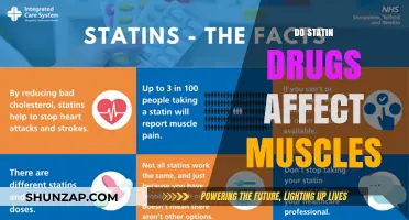 Exploring the Impact of Statins on Muscle Health