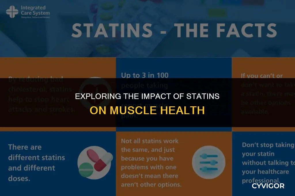 do statin drugs affect muscles