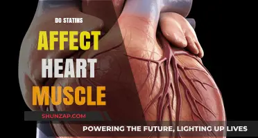 Exploring the Impact of Statins on Heart Muscle Health