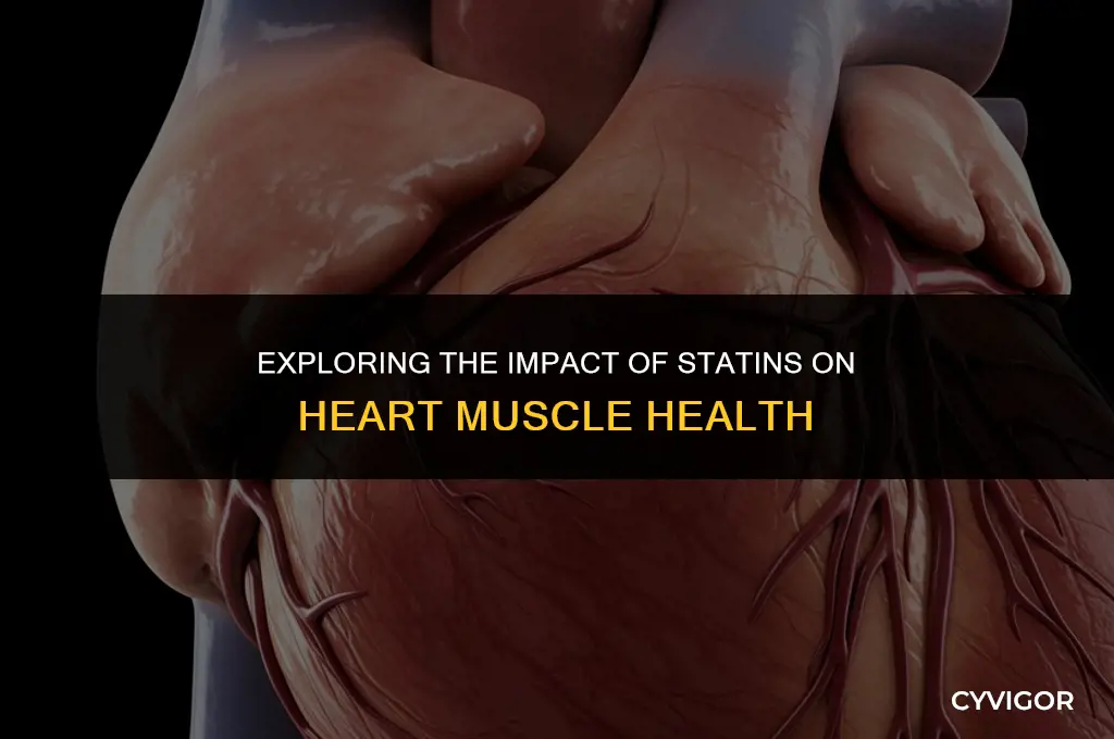 do statins affect heart muscle
