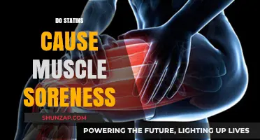 Statins and Muscle Soreness: What's the Link?