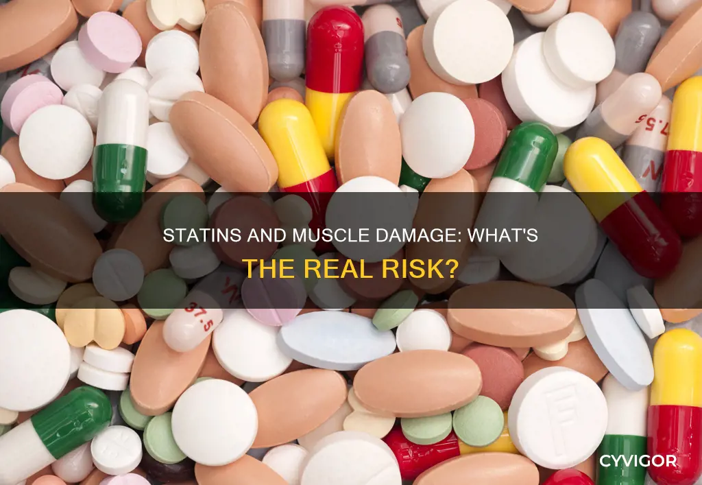 do statins damage muscles