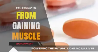 Statins and Muscle Gain: Unraveling the Truth Behind the Myth