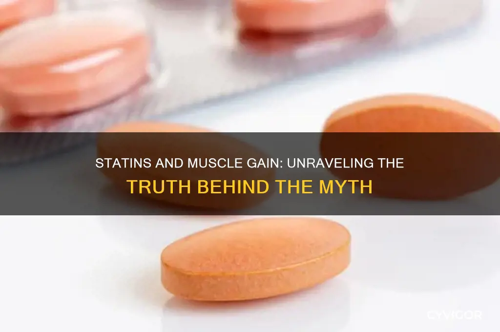 do statins keep you from gaining muscle