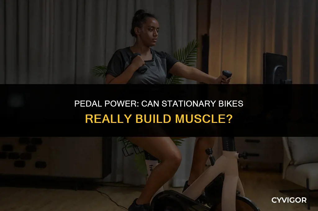 do stationary bikes build muscle