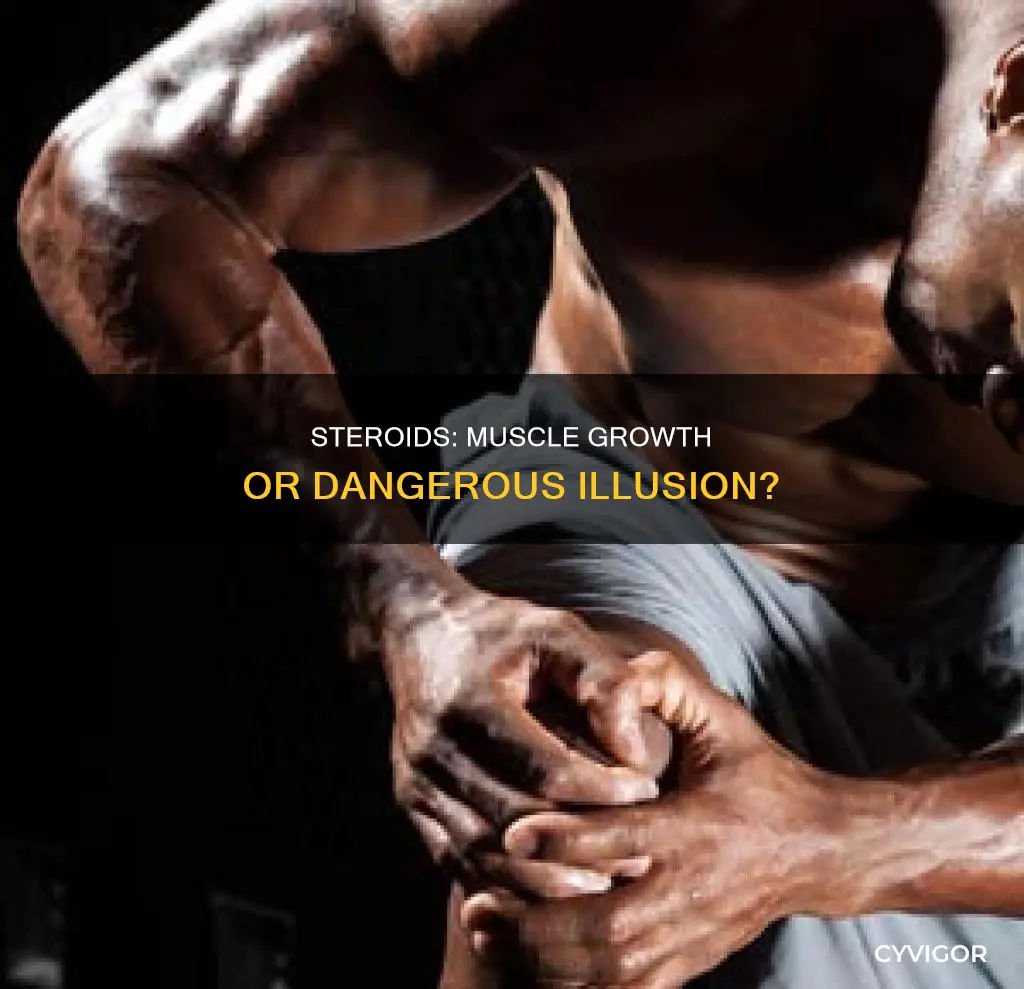 do steroids give you muscles