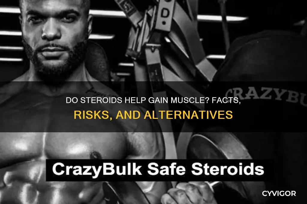 do steroids help gain muscle