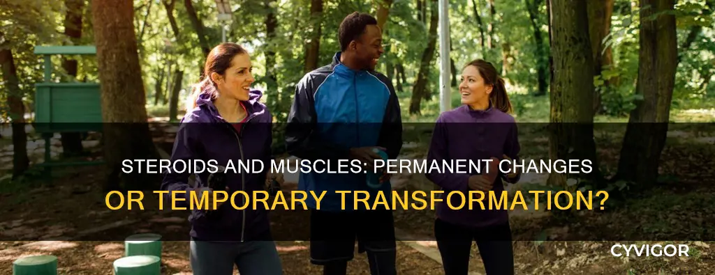 do steroids permanently change muscle