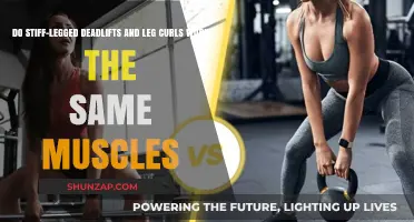 Stiff-Legged Deadlifts vs. Leg Curls: Which Muscles Do They Target?