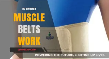 Do Stomach Muscle Belts Deliver Results or Just Hype?