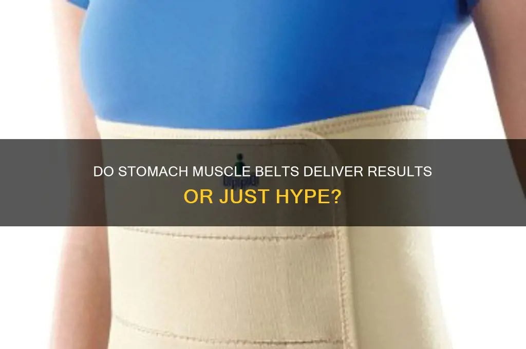 do stomach muscle belts work