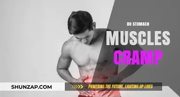 Understanding Stomach Muscle Cramps: Causes and Relief
