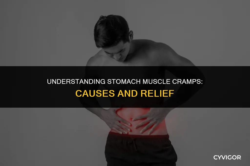 do stomach muscles cramp