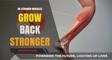 Rebuilding Strength: The Science Behind Strained Muscles and Their Recovery