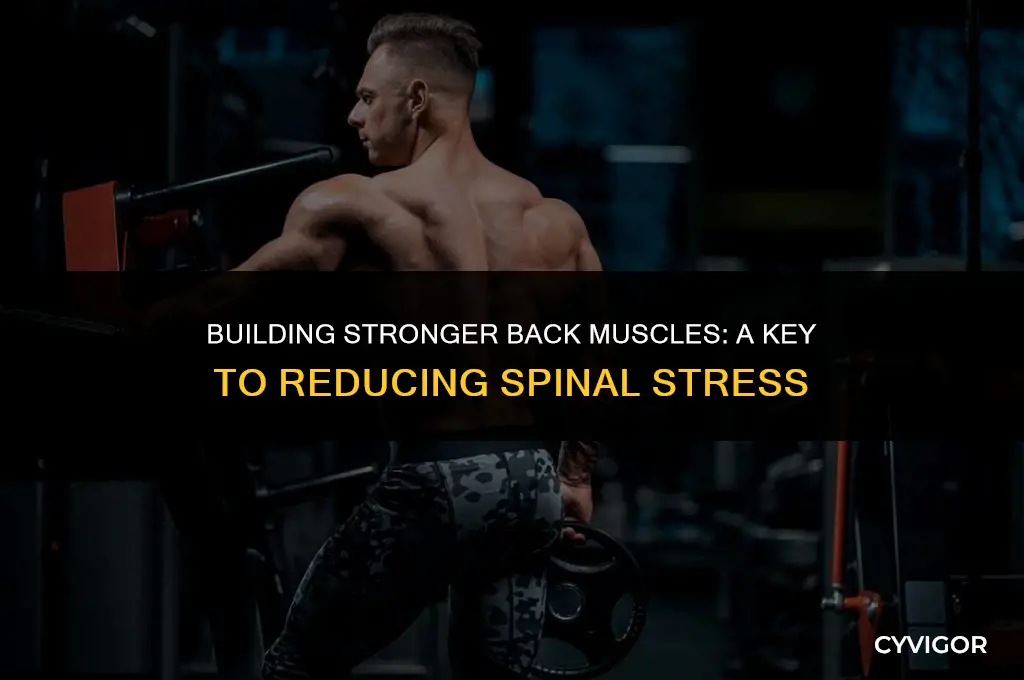do stronger back muscles decrease stress on the spine