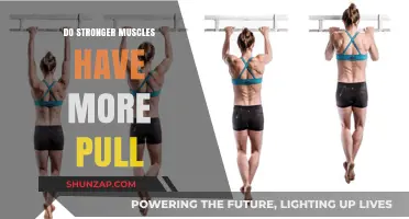 Stronger Muscles, Greater Pull: Unraveling the Science Behind Muscle Strength