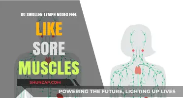 Swollen Lymph Nodes vs. Sore Muscles: Understanding the Difference