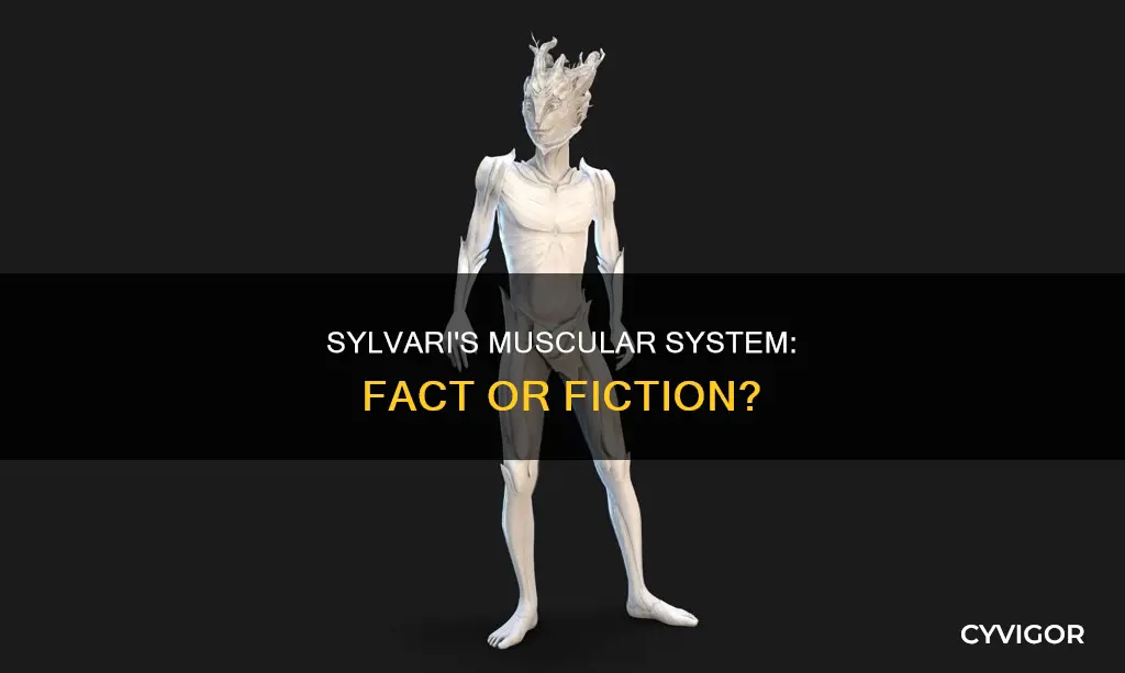 do sylvari have muscles