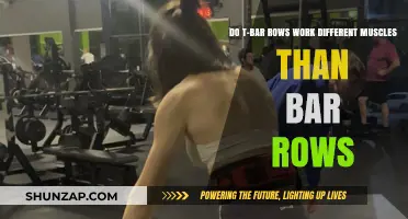 T-Bar vs. Barbell Rows: Which Muscles Do They Target Differently?
