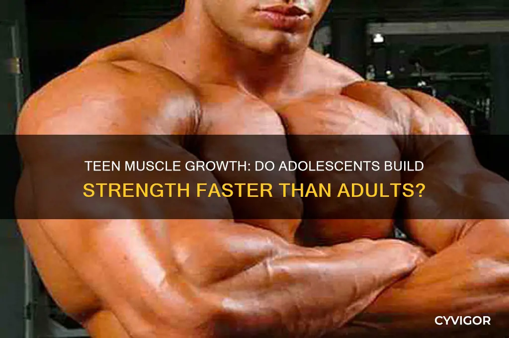 do teenagers lose gain muscle more
