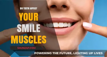 The Surprising Connection: How Teeth Influence Your Smile Muscles